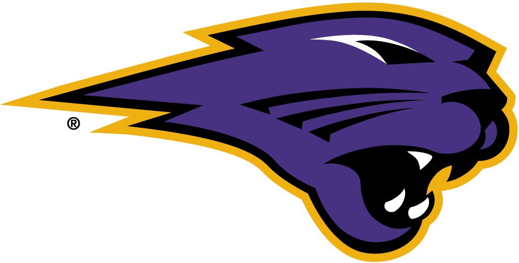 Northern Iowa Panthers 2002-Pres Partial Logo v4 diy DTF decal sticker